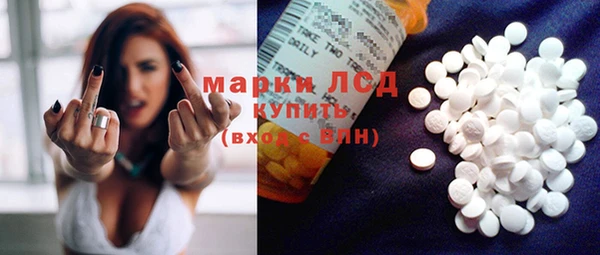прущие грибы Абдулино