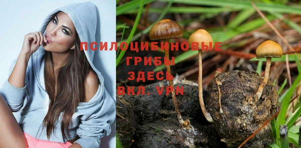 герыч Абаза