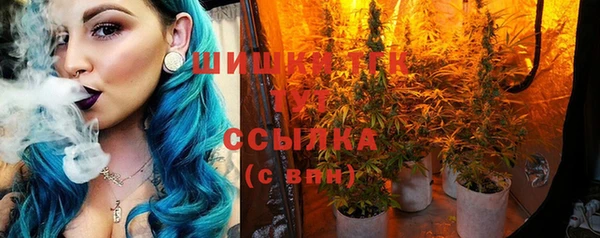 мет Инсар