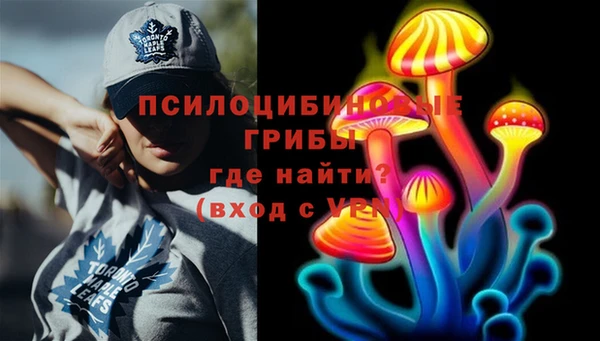 прущие грибы Абдулино