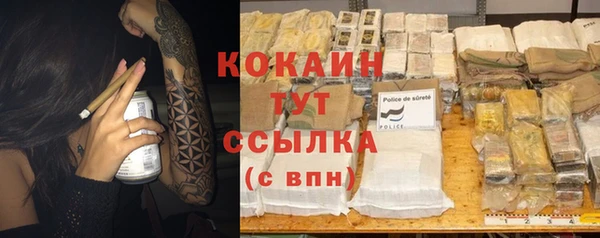 прущие грибы Абдулино