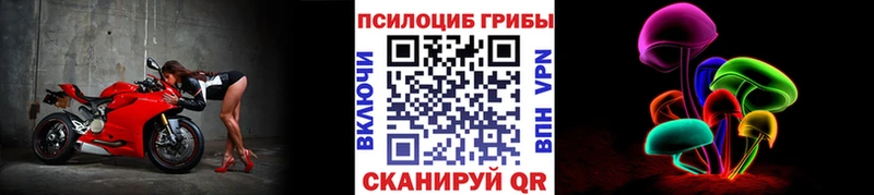Галлюциногенные грибы Magic Shrooms  Холм 